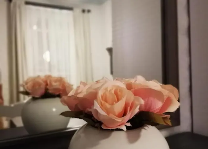 Petite Boutique Hotel Çeşme